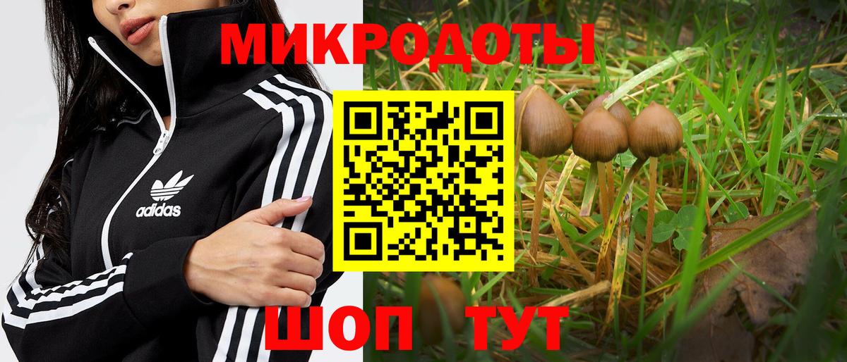 Чусовой  Псилоцибиновые грибы Psilocybine cubensis  купить   Галлюциногенные грибы мицелий  Вход с VPN 